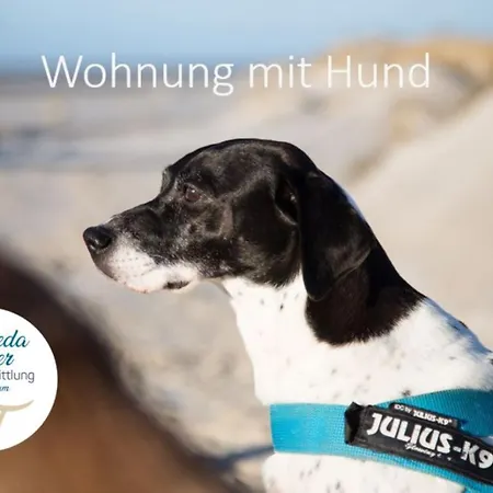 Ausguck - Hues In Lee *